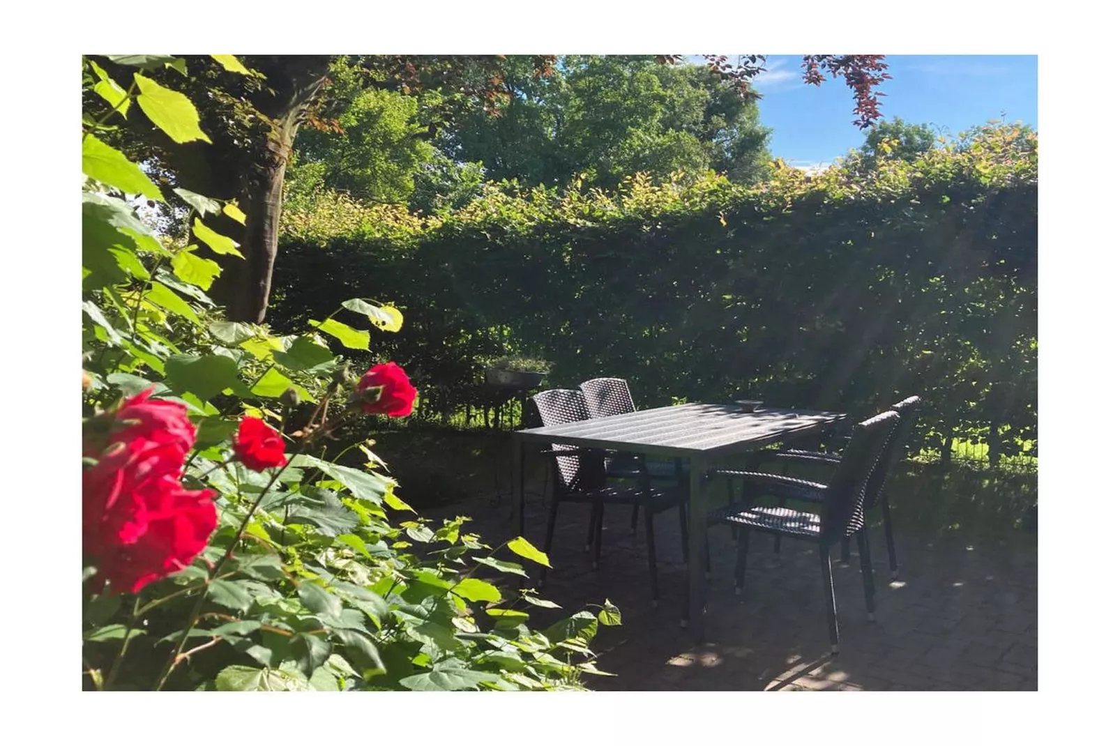 389318-Terrace balcony