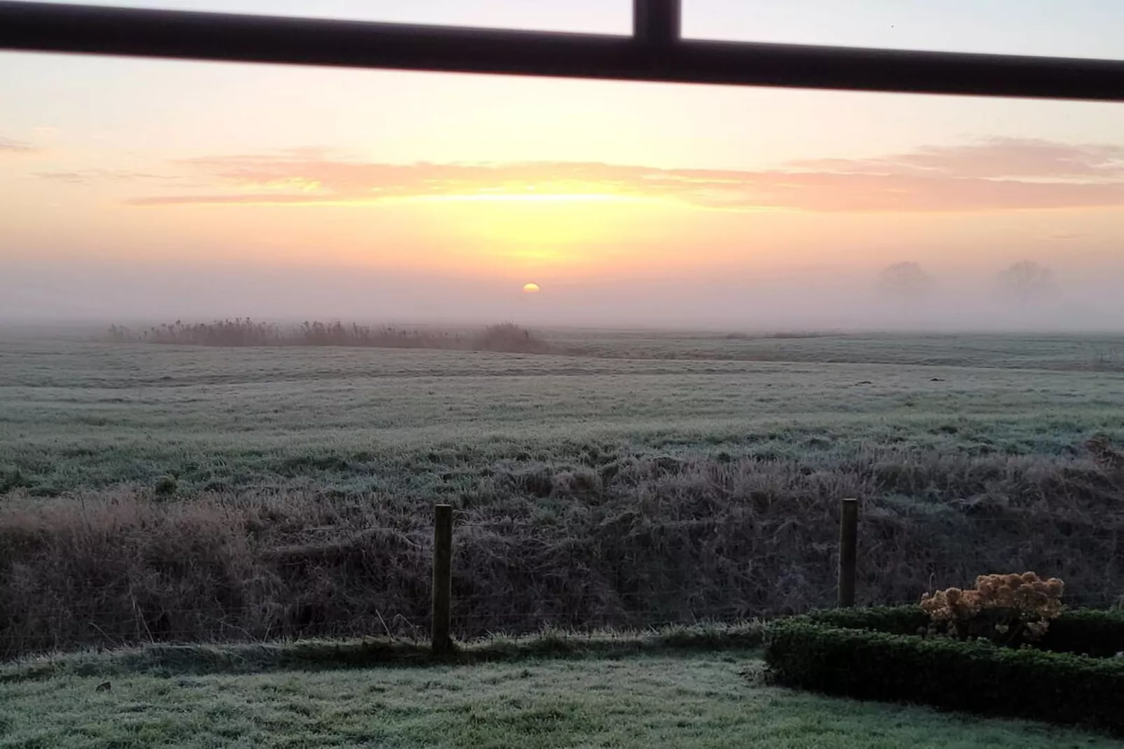 467005-View in summer