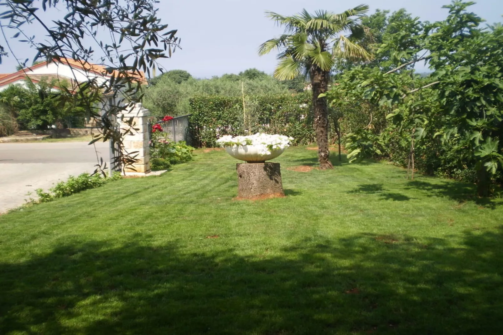 Licul Modern retreat-Jardins en été