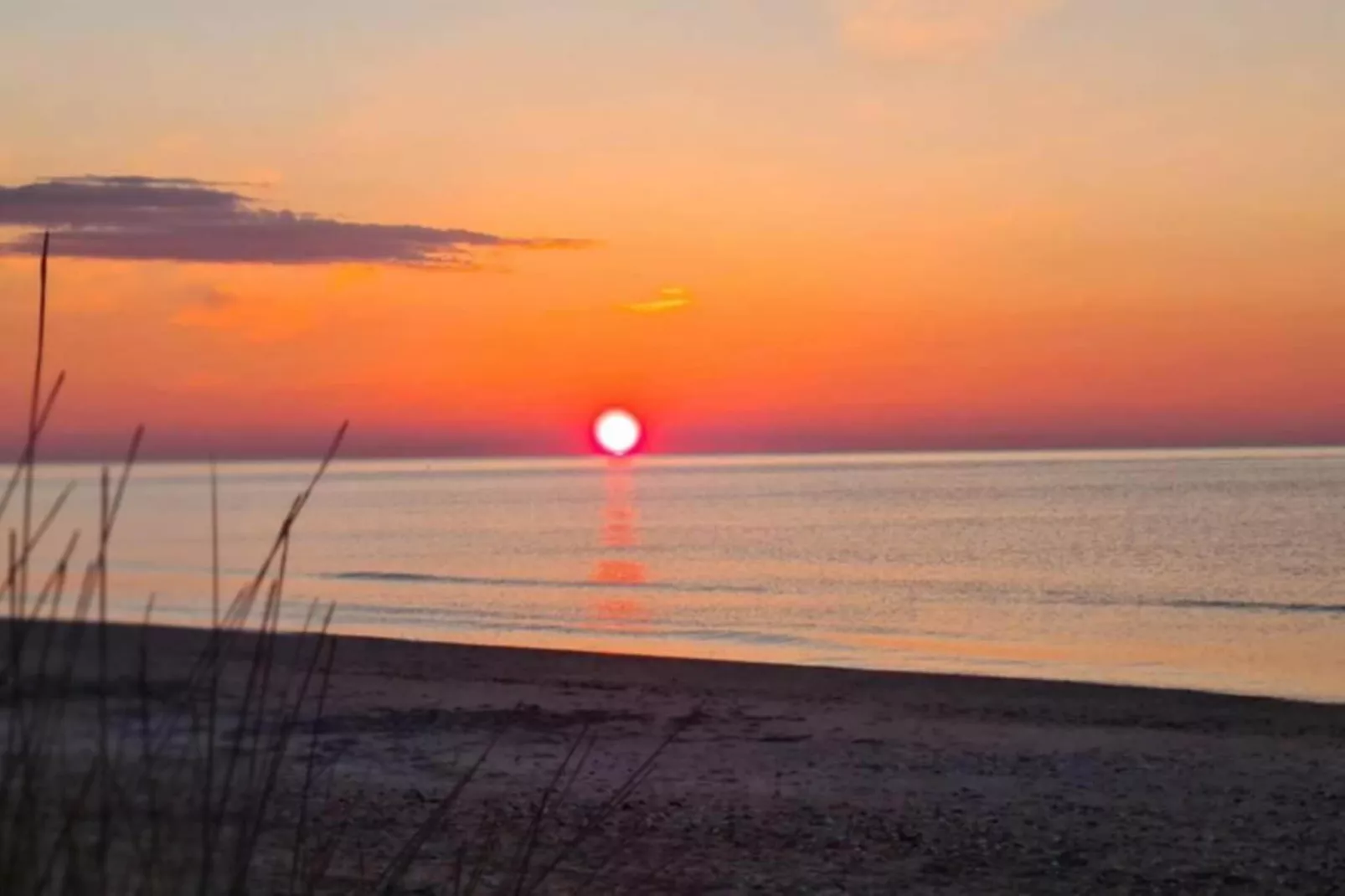 Le Cosmos C N°15 - 2P4-Gebiete Sommer 20 km