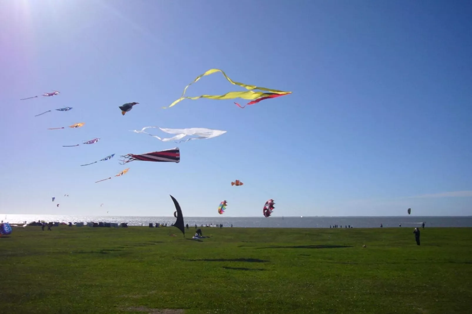 50151-Gebiete Sommer 5 km