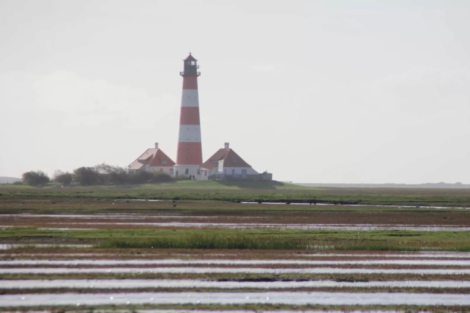 66667-Areas within 5km in summer