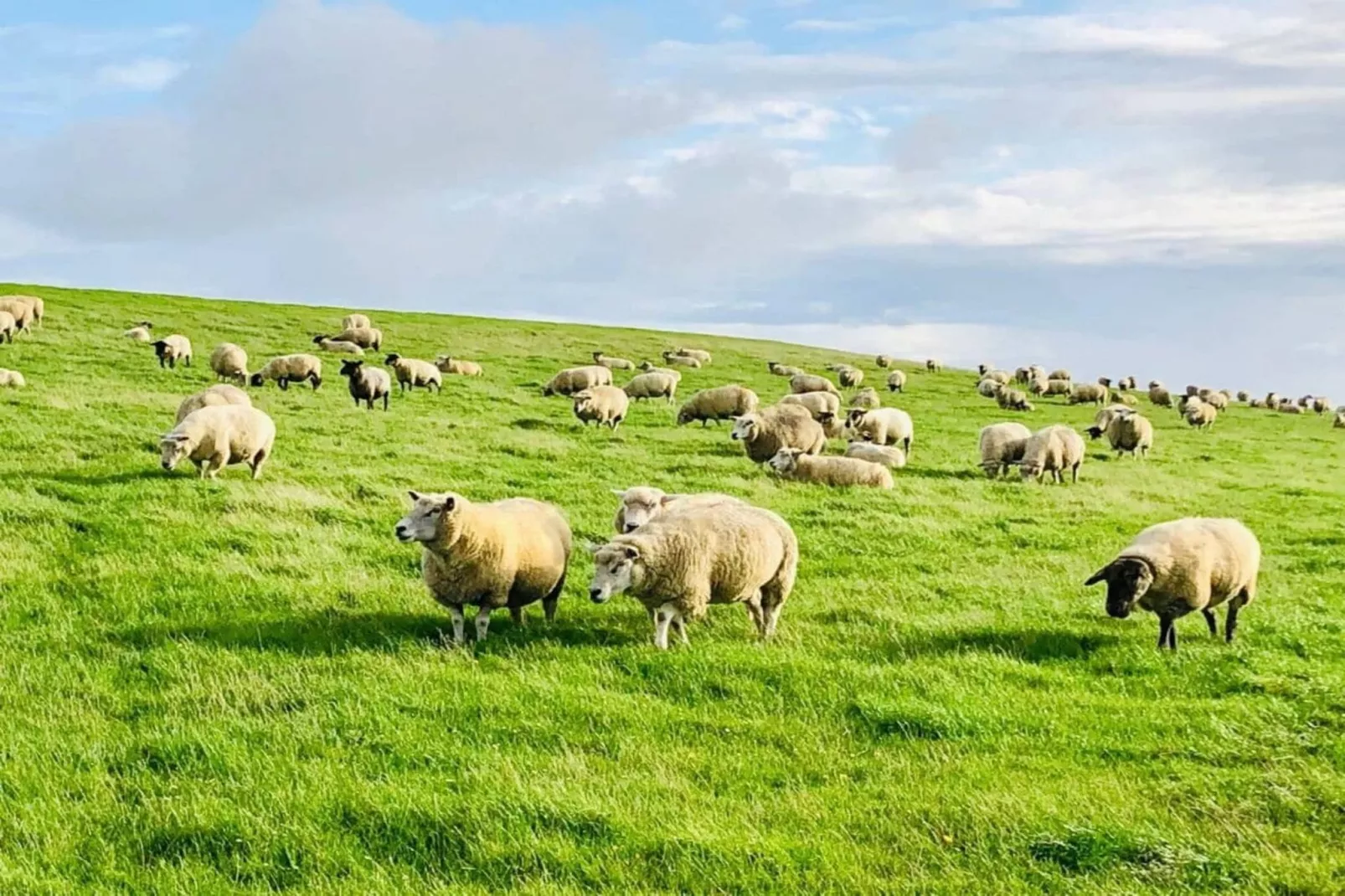 162859 - Gebiete Sommer 5 km