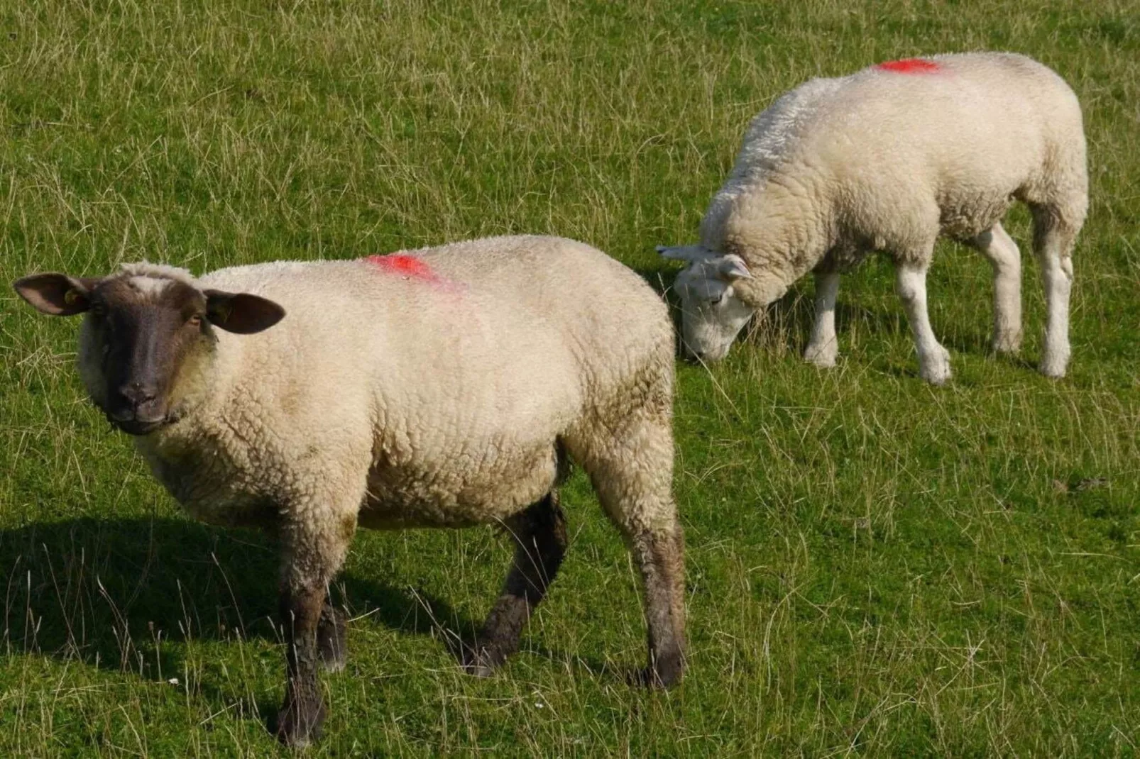 108373 - Zones été à 5 km