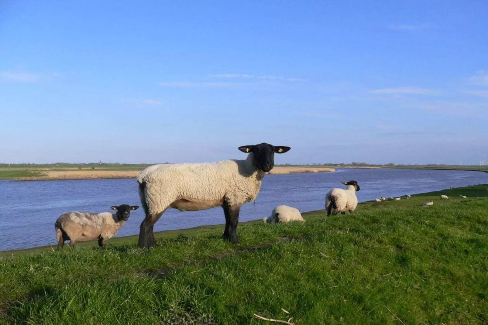 81405-Zones été à 5 km