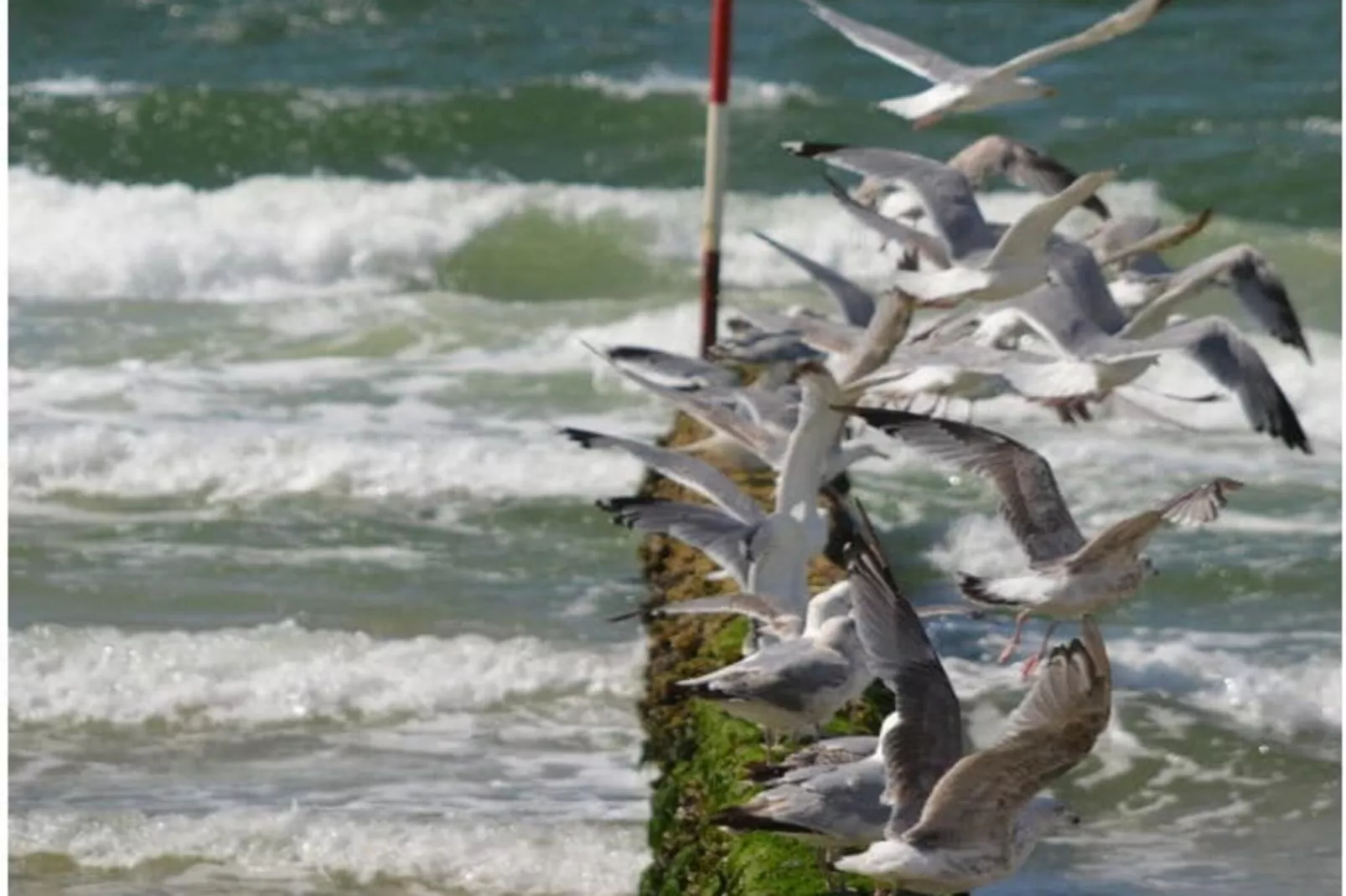 190721-Exterior in summer