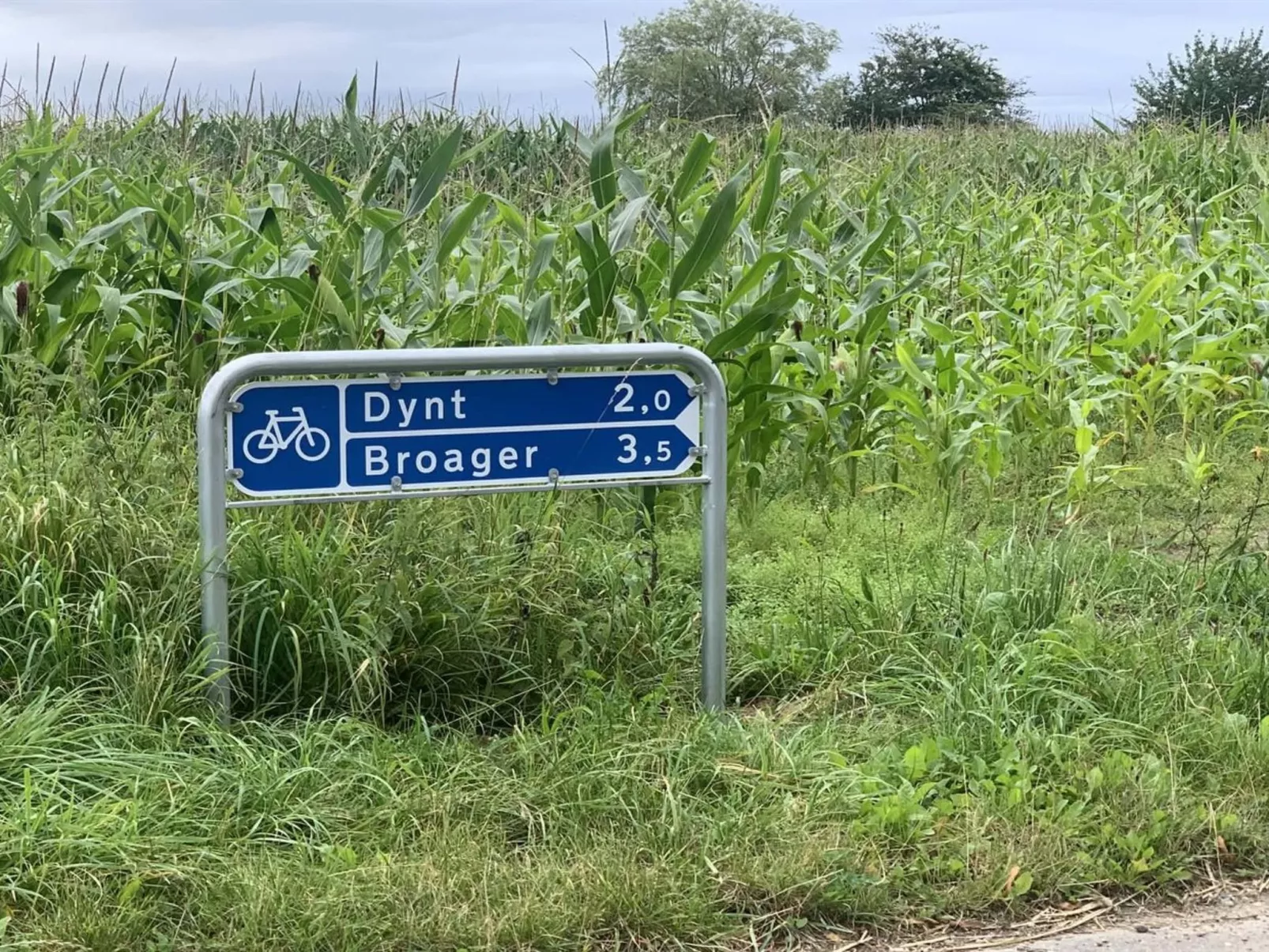 "Yorik" - 1.6km from the sea-Outside