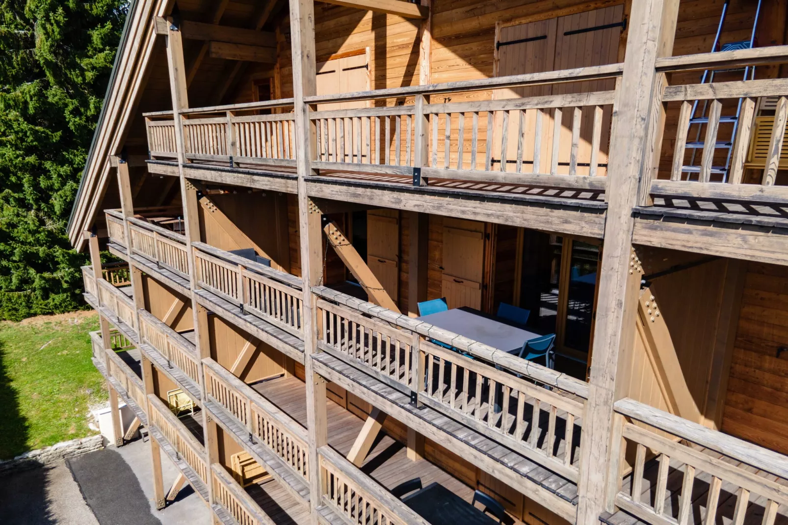 BC-20-CHAMPS-Nicht zugeordnet