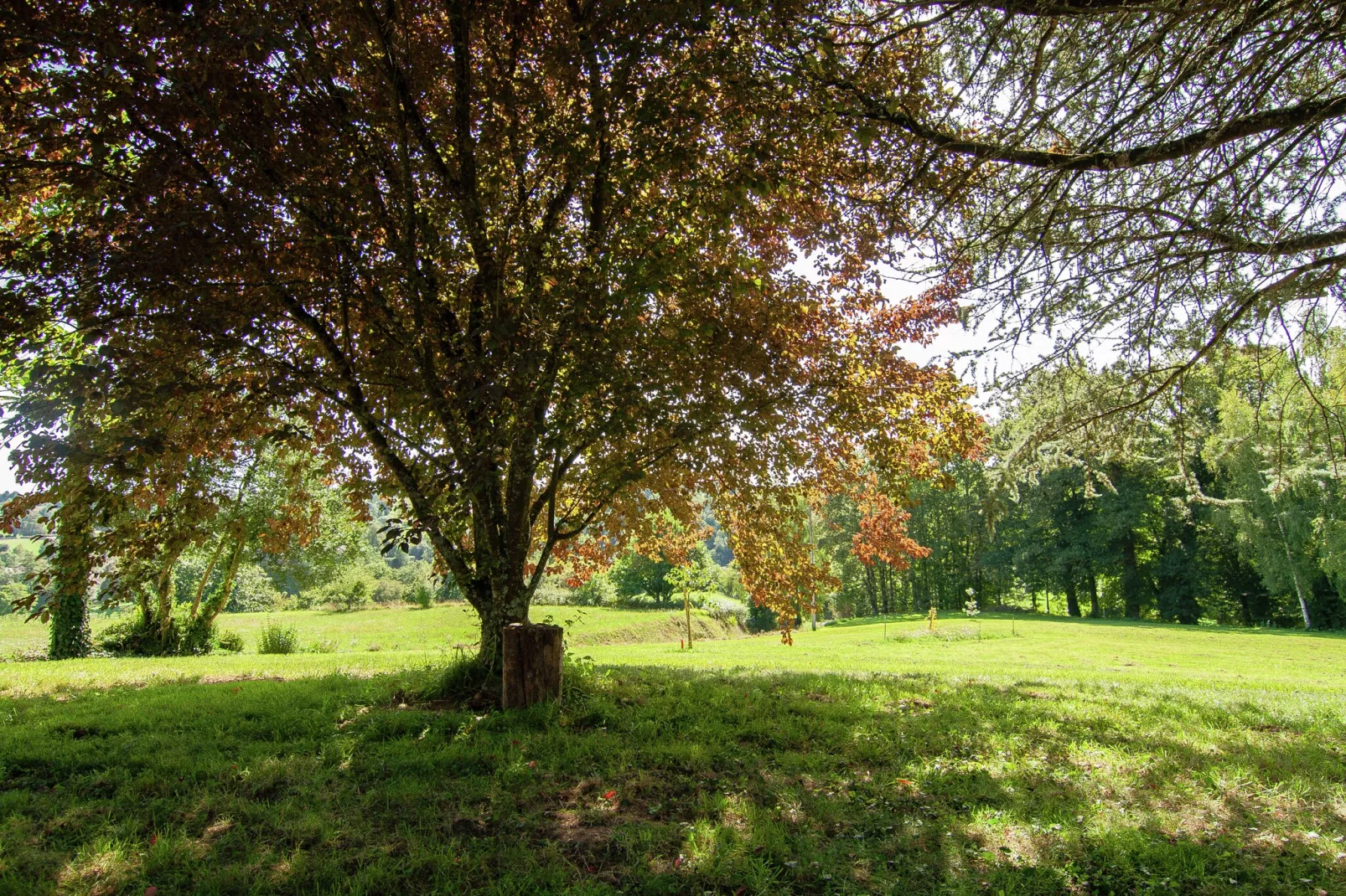 La Bergerie-Garten Sommer