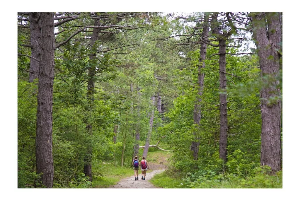 273134-Nicht zugeordnet