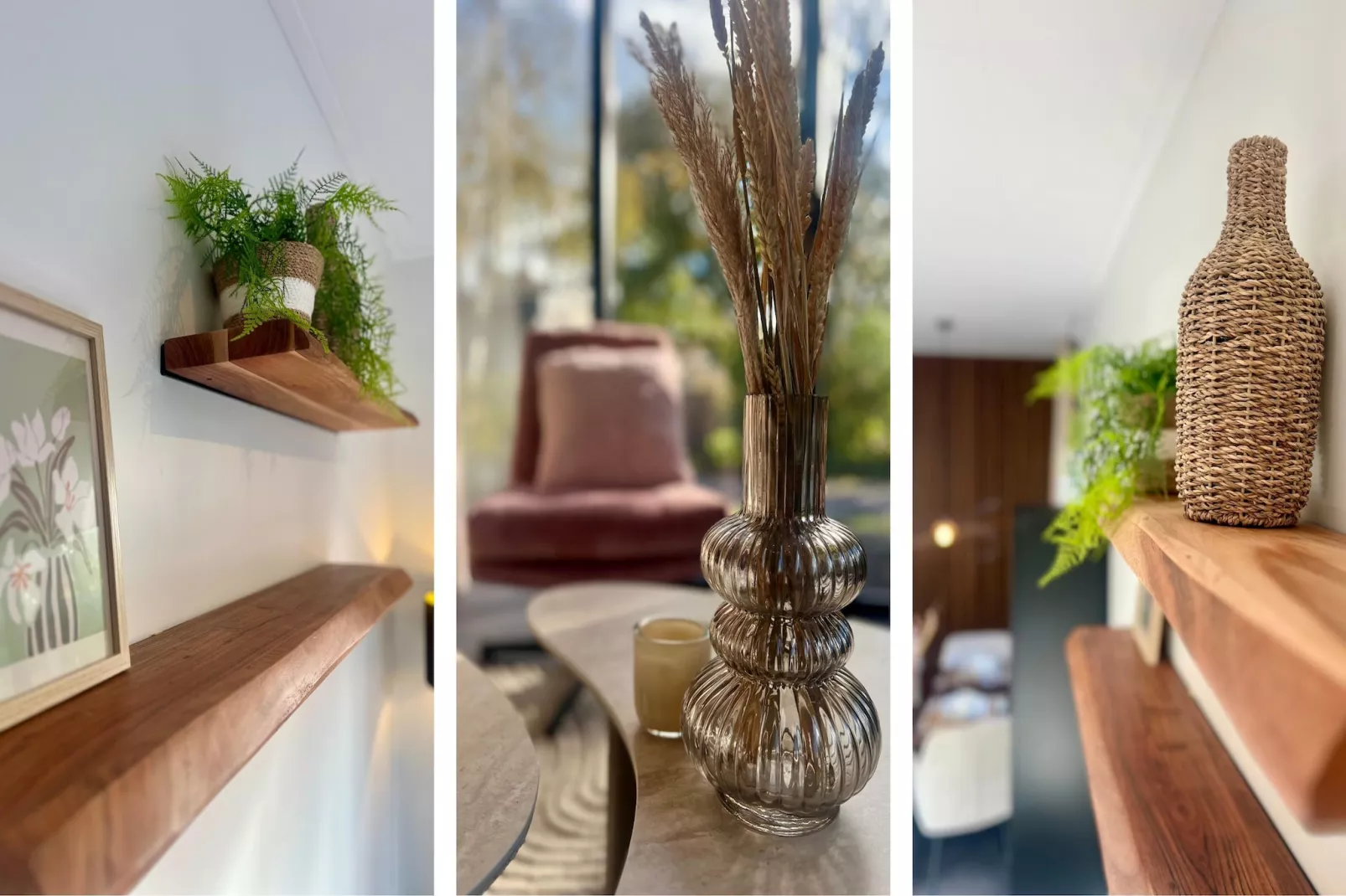 Campanula 102-Ambiance