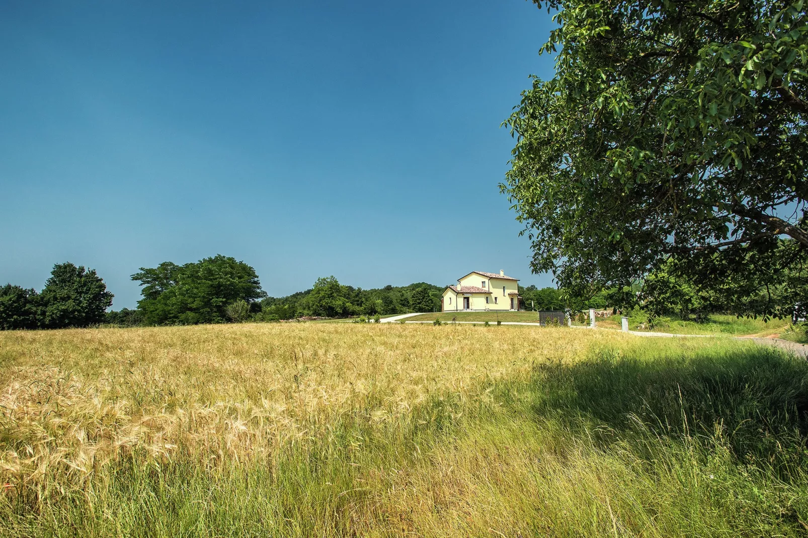 Villa Frankovici-Gebiete Sommer 1 km