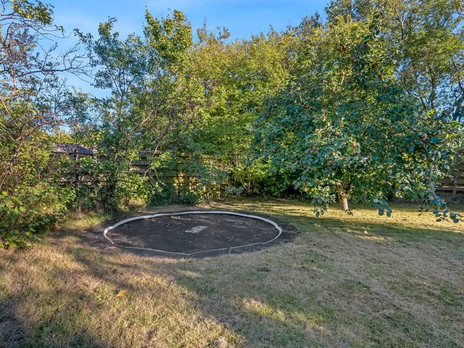 "Harro" - 100m from the sea-Draußen