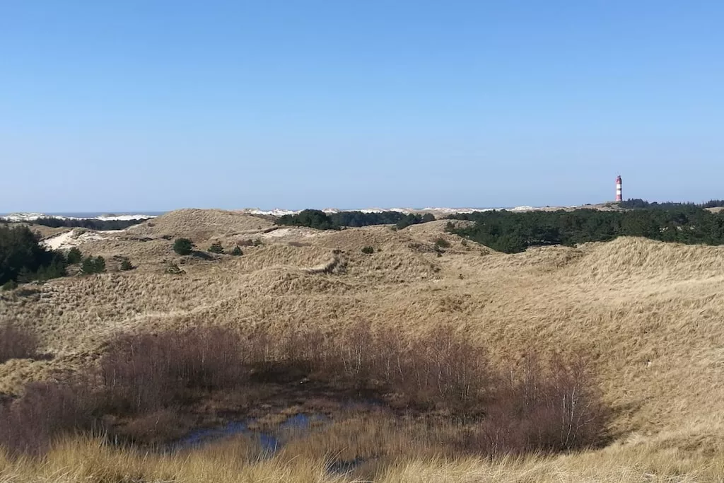 118441-Nicht zugeordnet