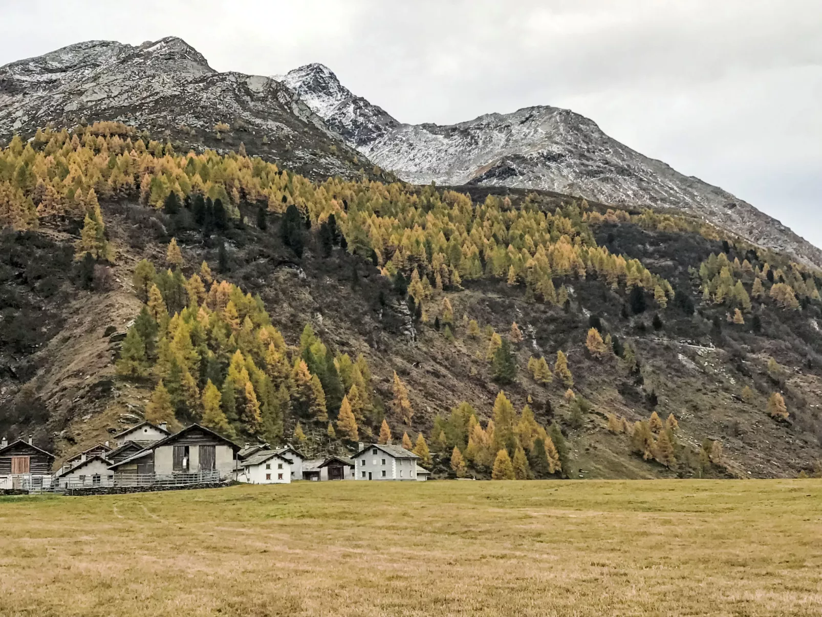 Chesa Blaunca Maloja - Area