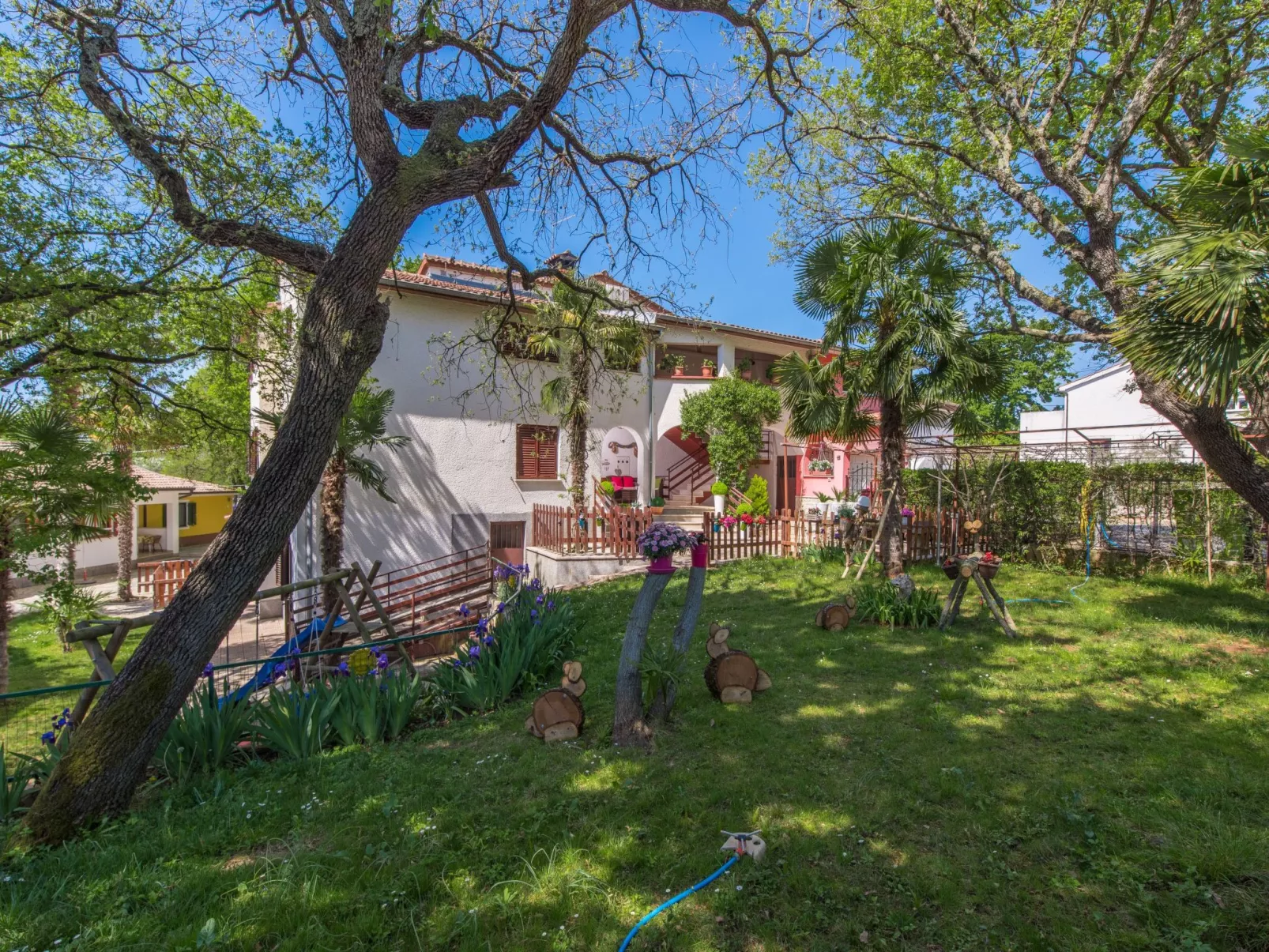 Felix - Image-tags.info