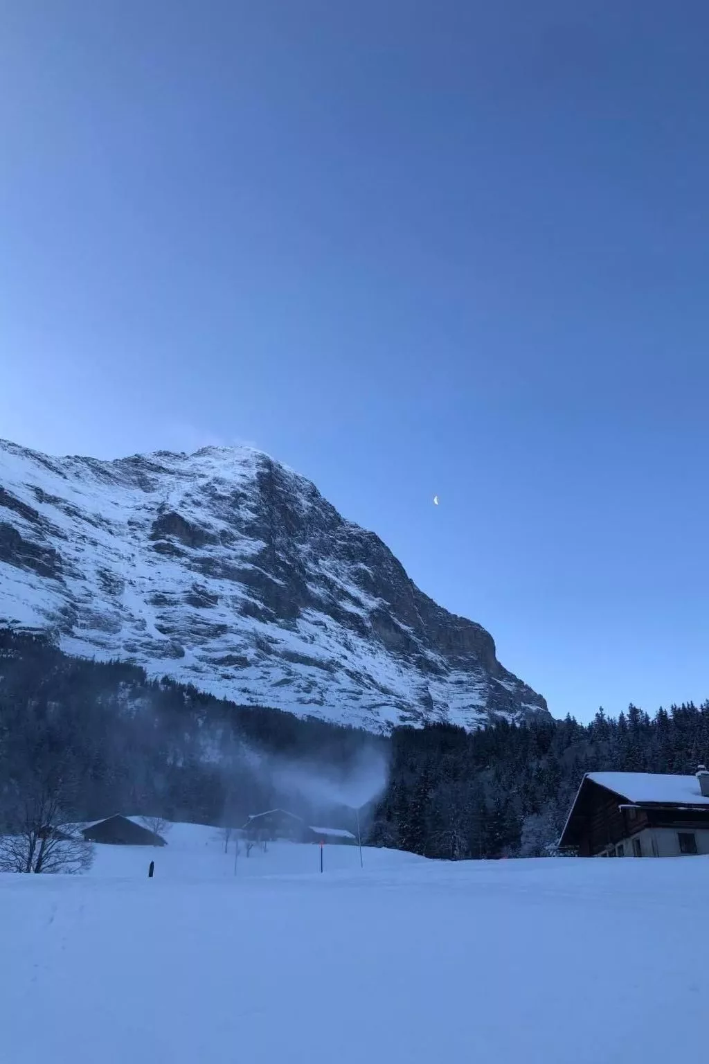 Im grünen - Image-tags.info