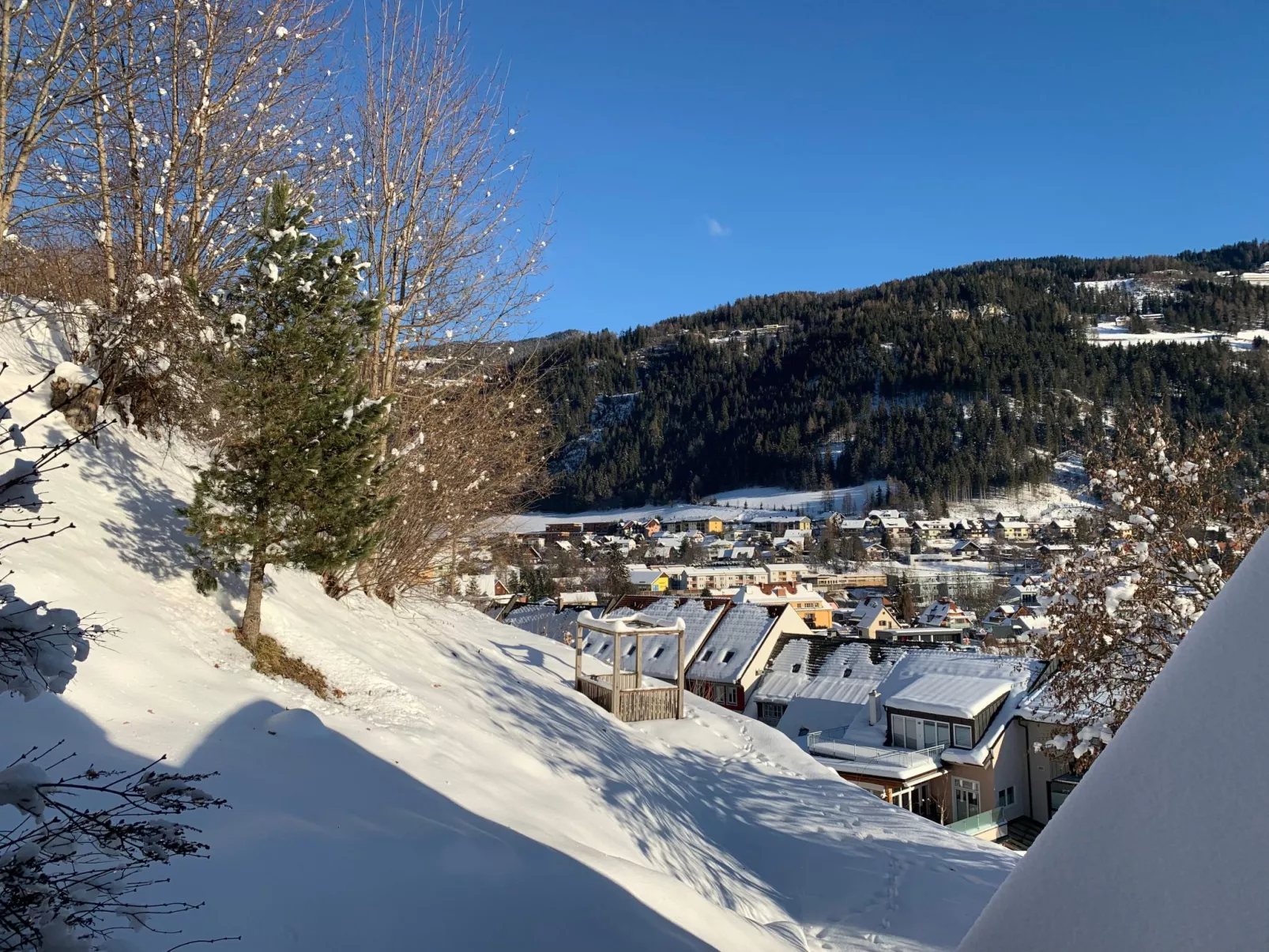 Chalet Elsa Murau - Draußen