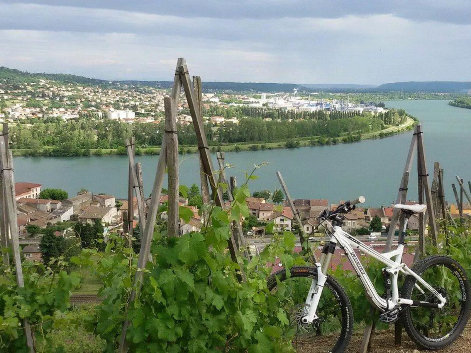 Die Ufer der Rhone - Image-tags.info