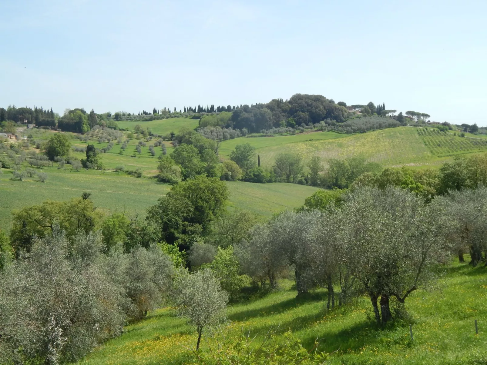 Wohnung auf dem Lande, 3 km vom Zentrum von Siena entfernt - Outside