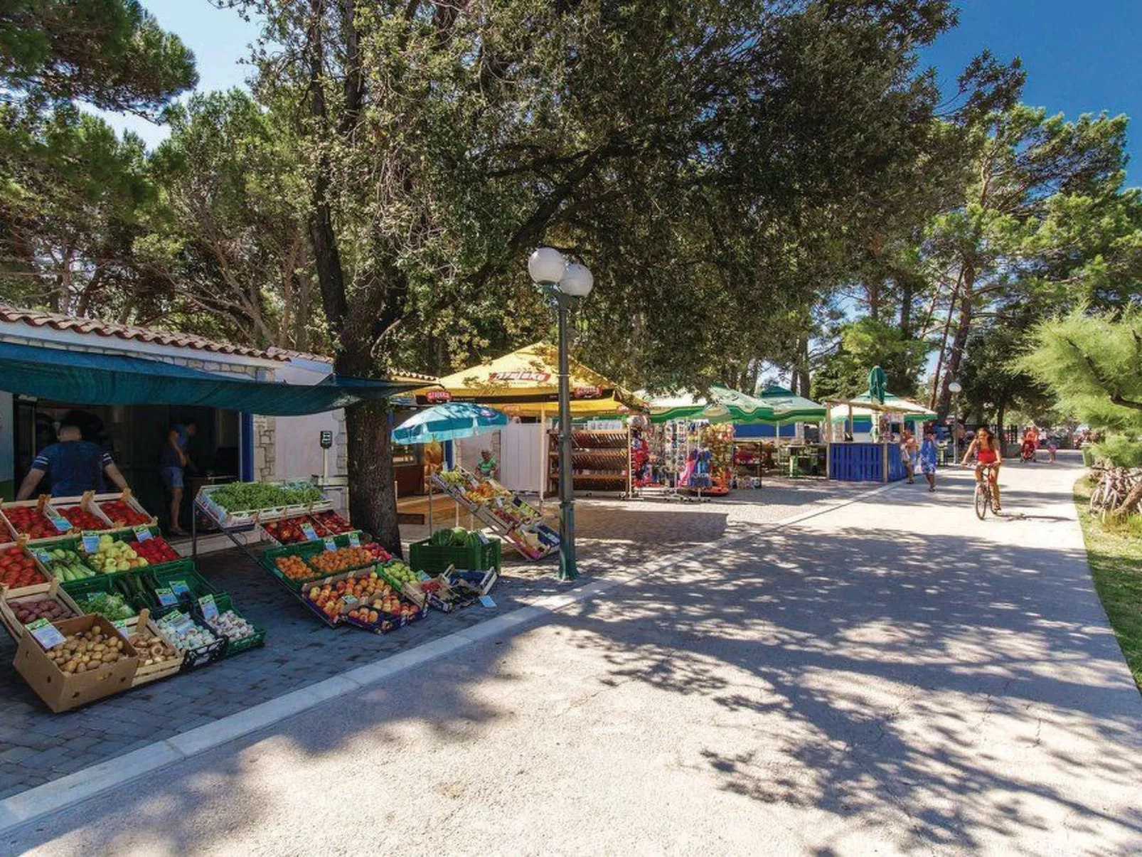 Haus mit Pool, 50 Meter vom Meer entfernt - Image-tags.info