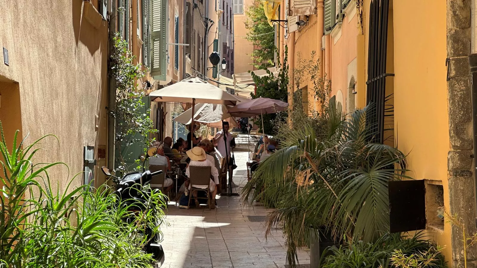 Bonaventure - Areas within 5km in summer