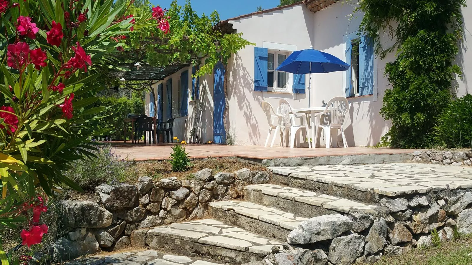 Lomandra - Terrace balcony