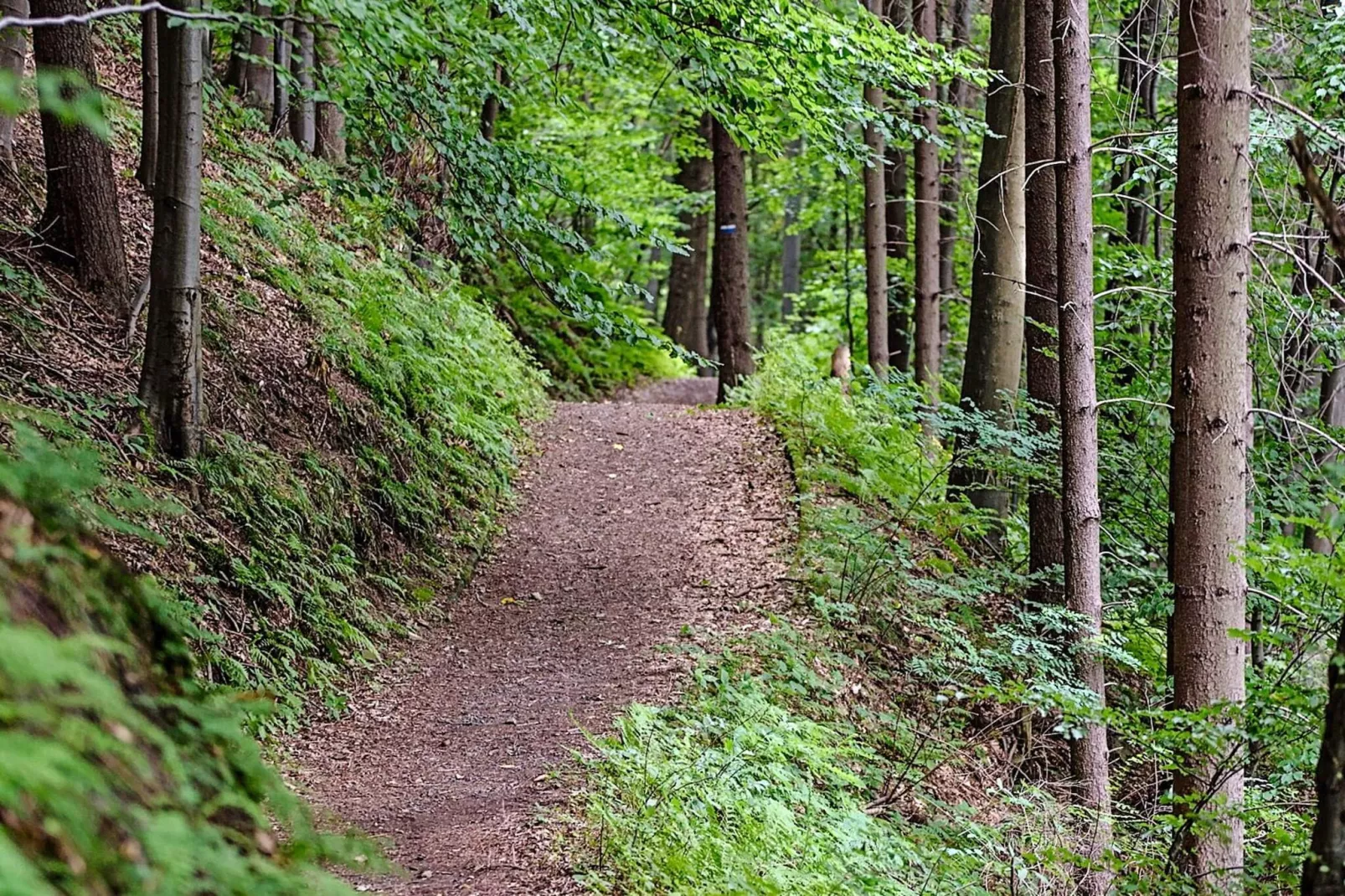 9 person holiday home in KÄLARNE-Untagged