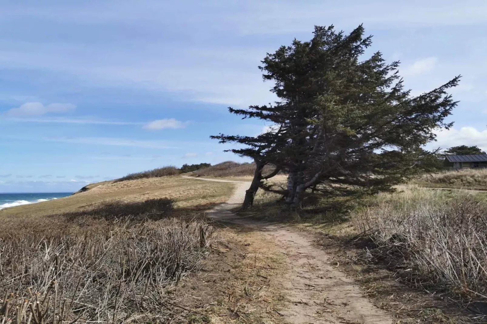 5 Personen Ferienhaus in Gilleleje-By Traum - Wasserblick