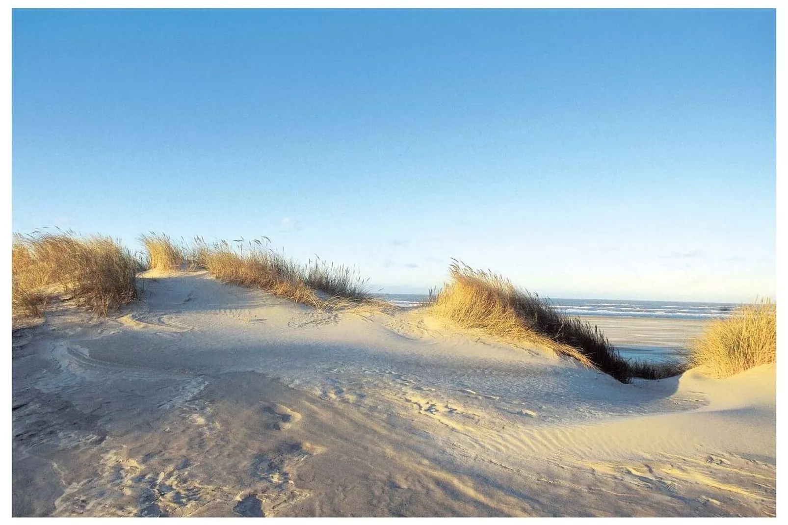 382021-Areas within 5km in summer