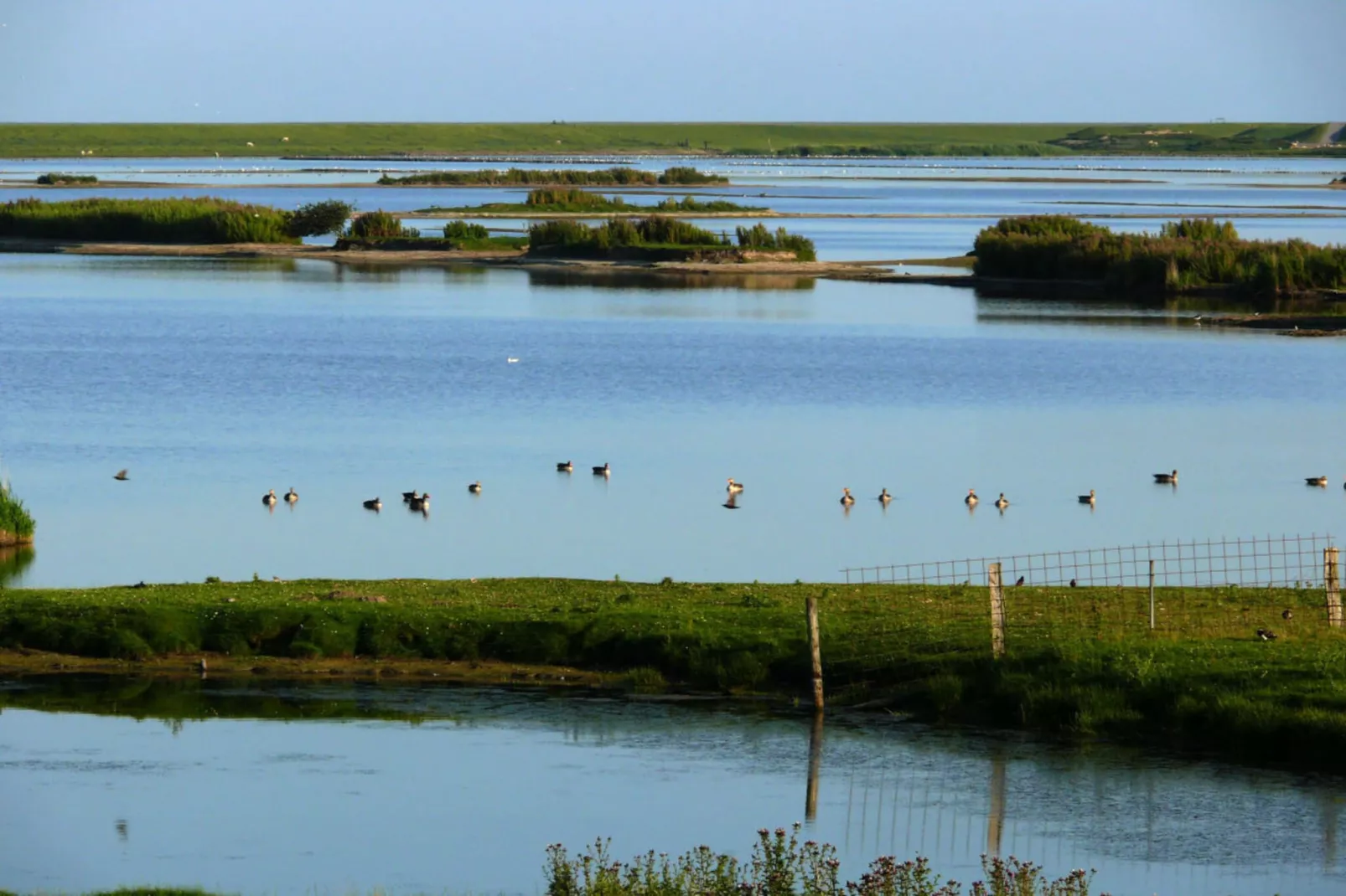 94443-Image-tags.water view