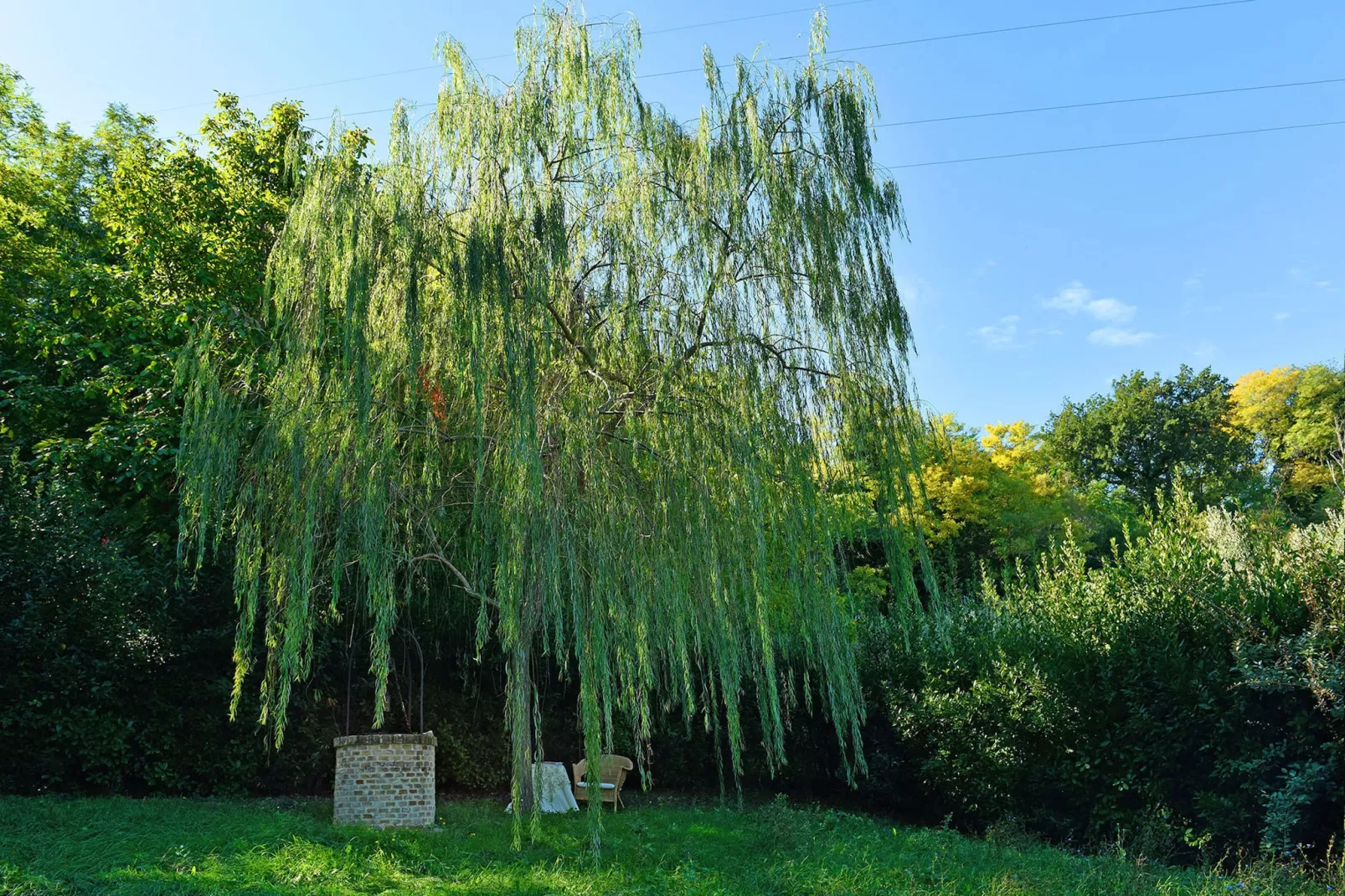 Villa Poggio San Giacomo-Gardens in summer