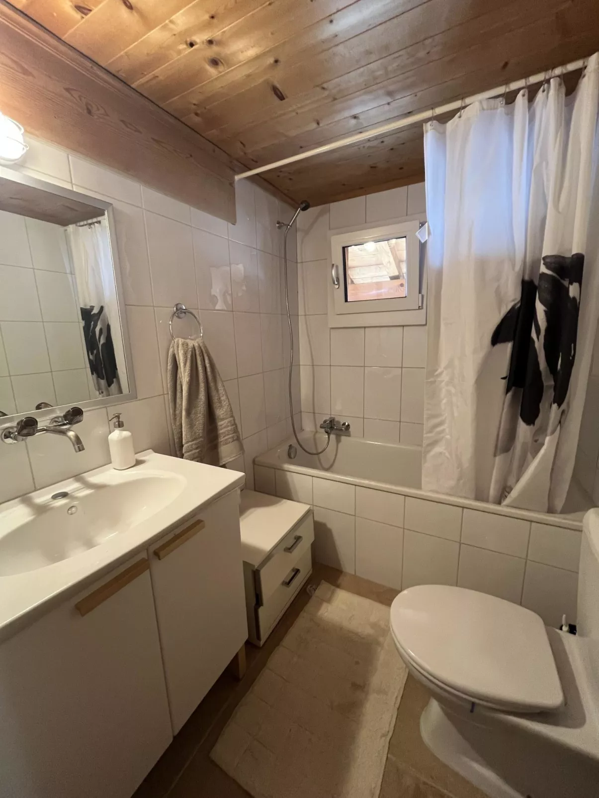 Hivernants Le Premier-Drinnen