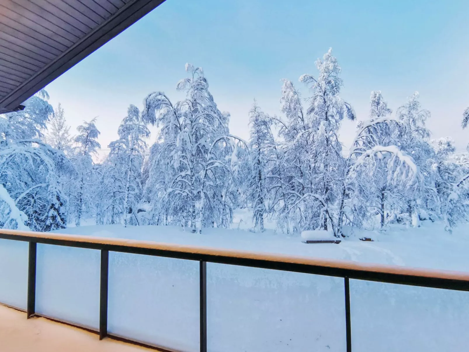 Rikinänranta b-Dedans