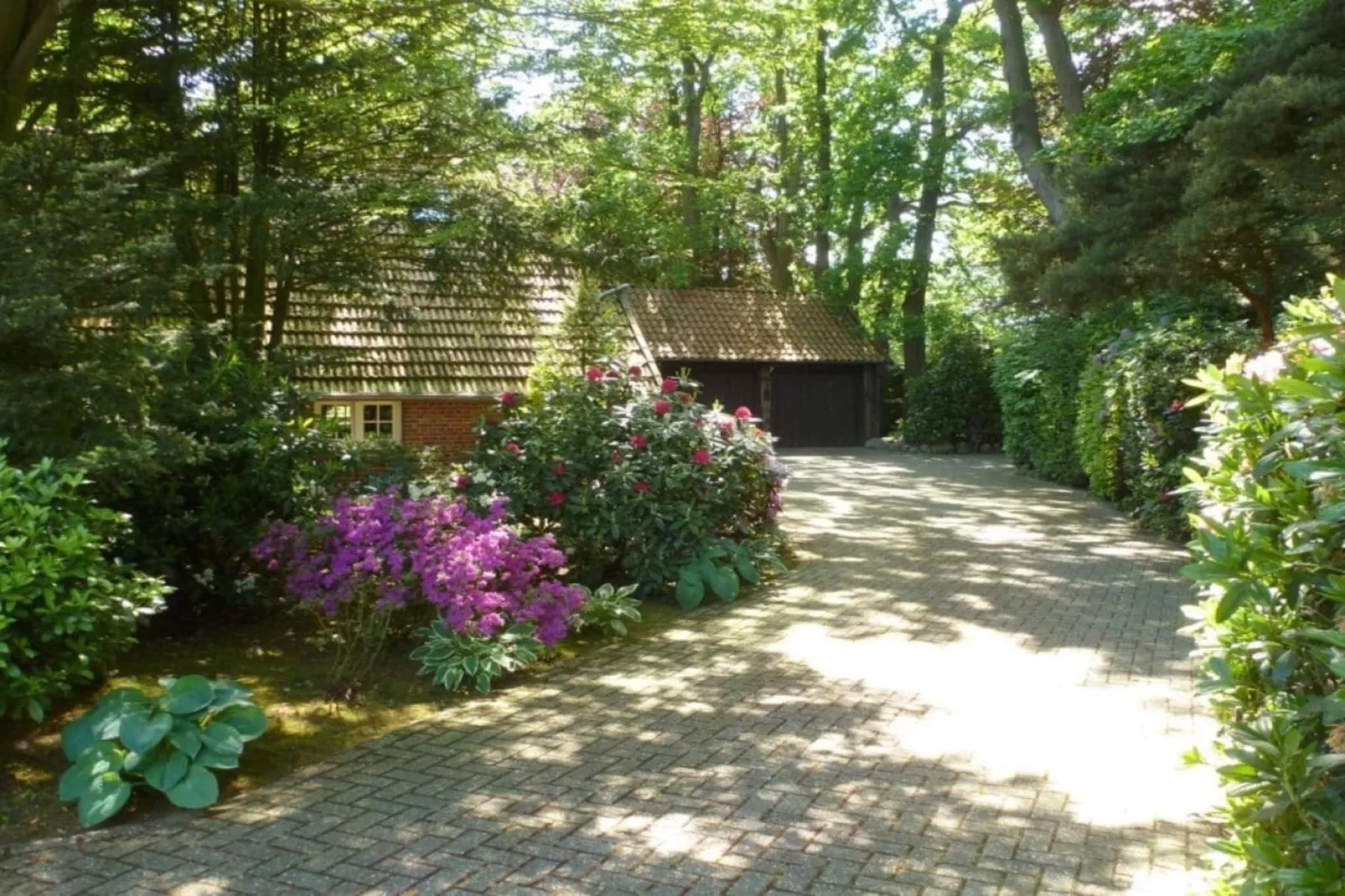 191953-Gardens in summer