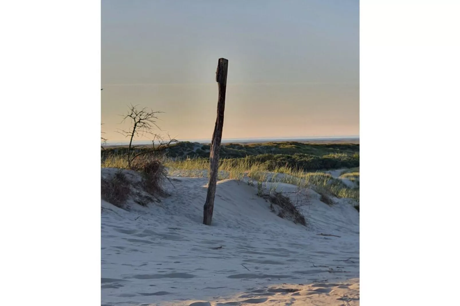 315546-Image-tags.water view