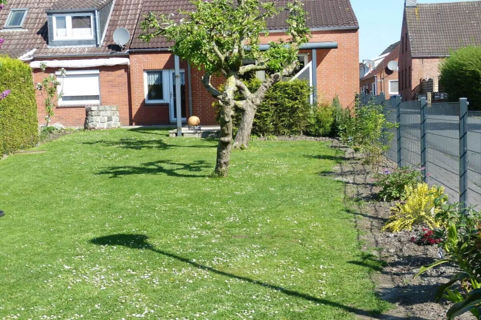 134769-Jardins en été