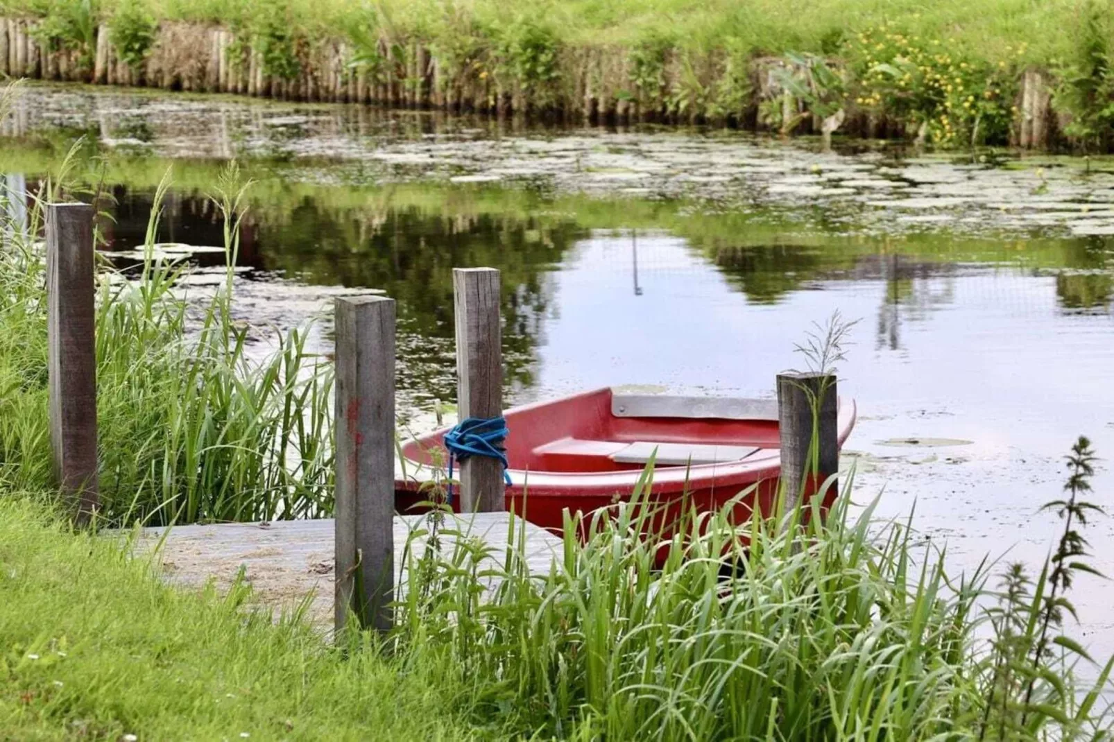 218583-Areas within 5km in summer