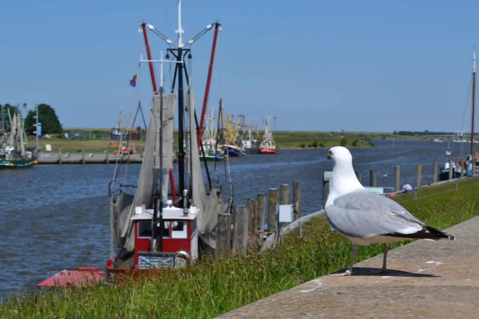 184619-Areas within 5km in summer