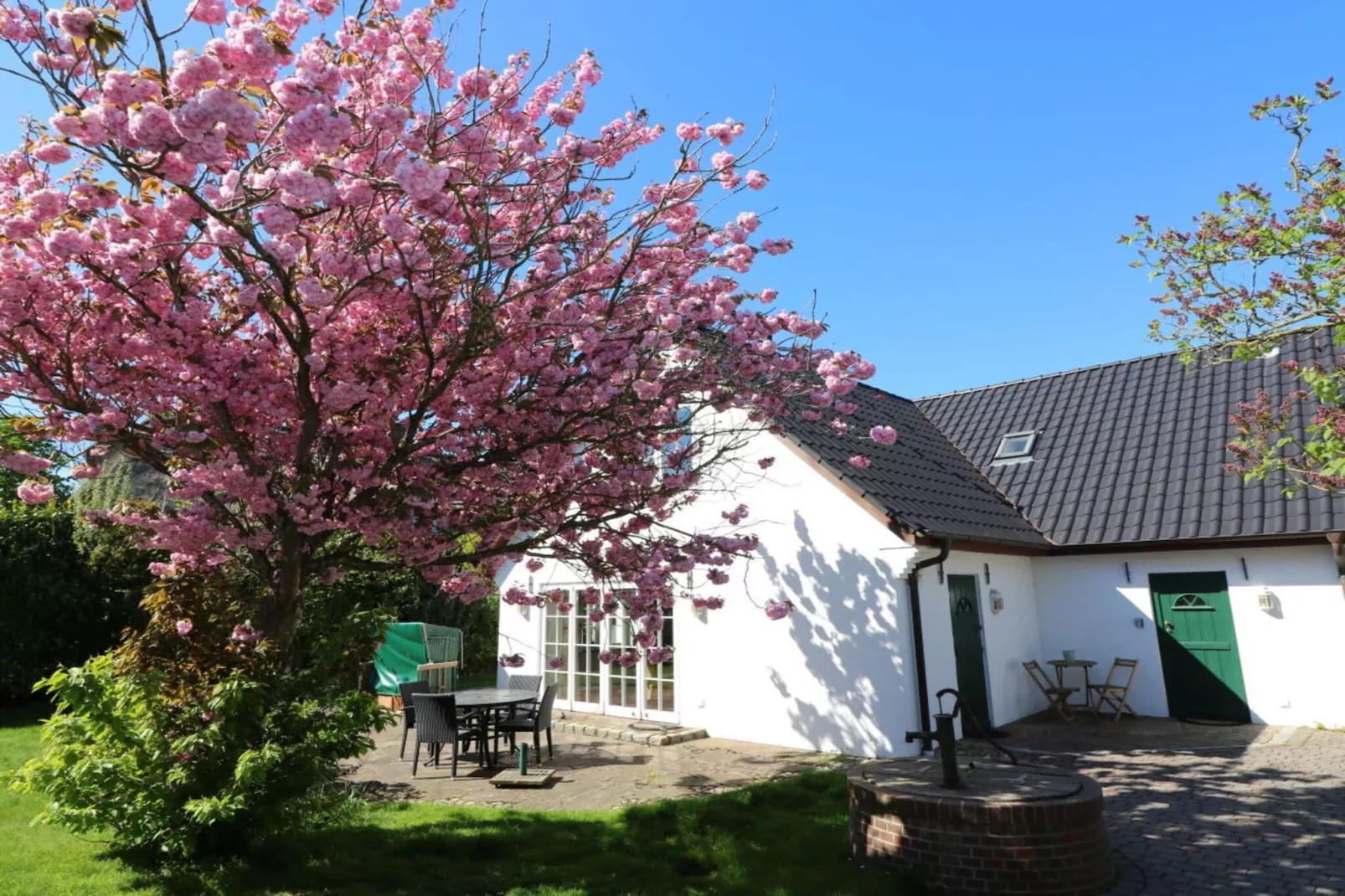 265474-Gardens in summer