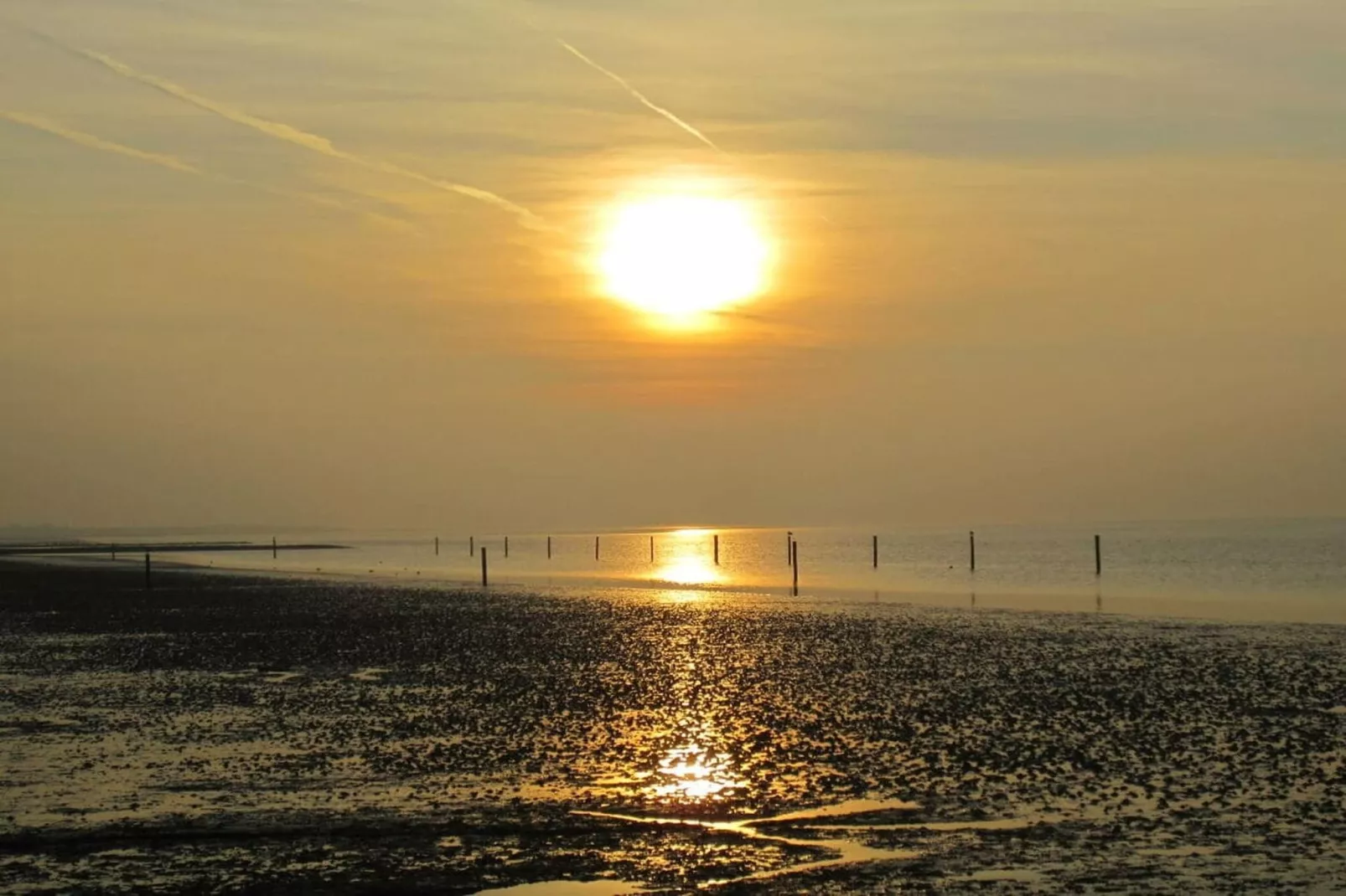 90459-Zones été à 5 km