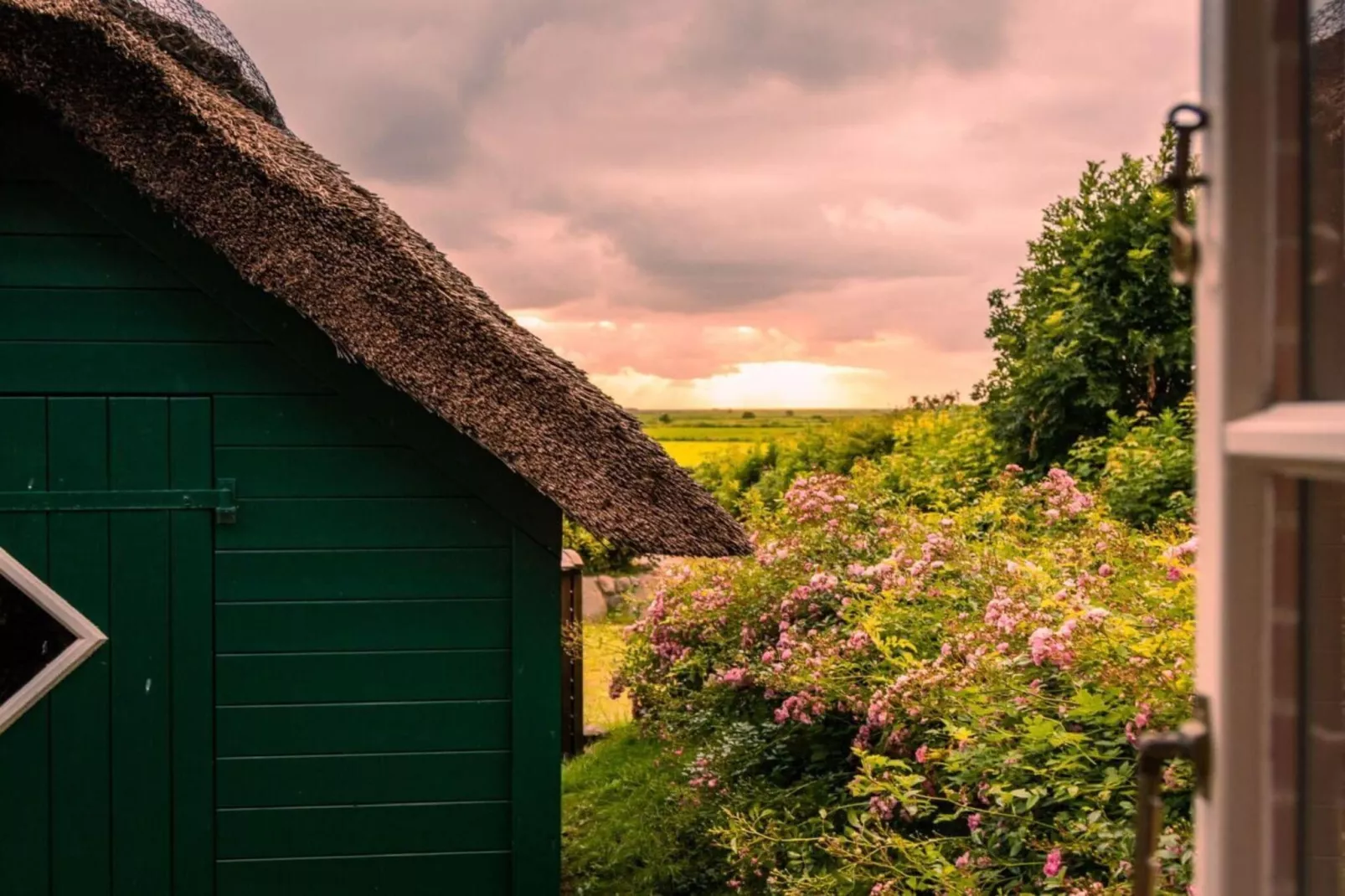 573535 - Extérieur été