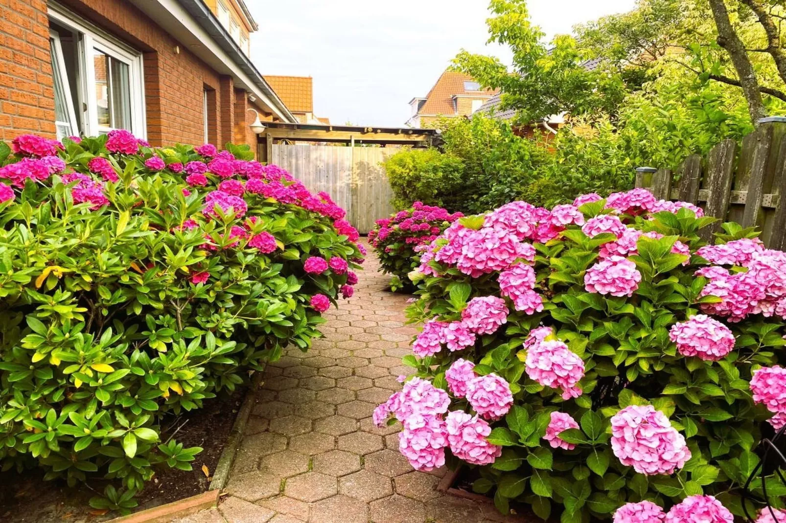 581070 - Garten Sommer