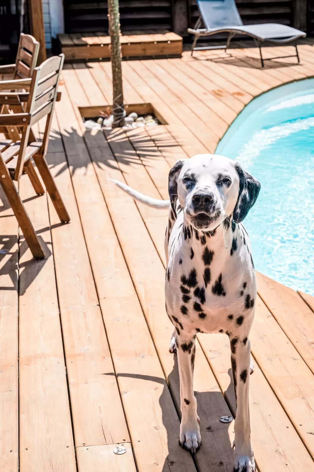 Villa Eden Bleu - Haus in Südlage mit beheiztem Pool und privatem Whirlpool - Outside