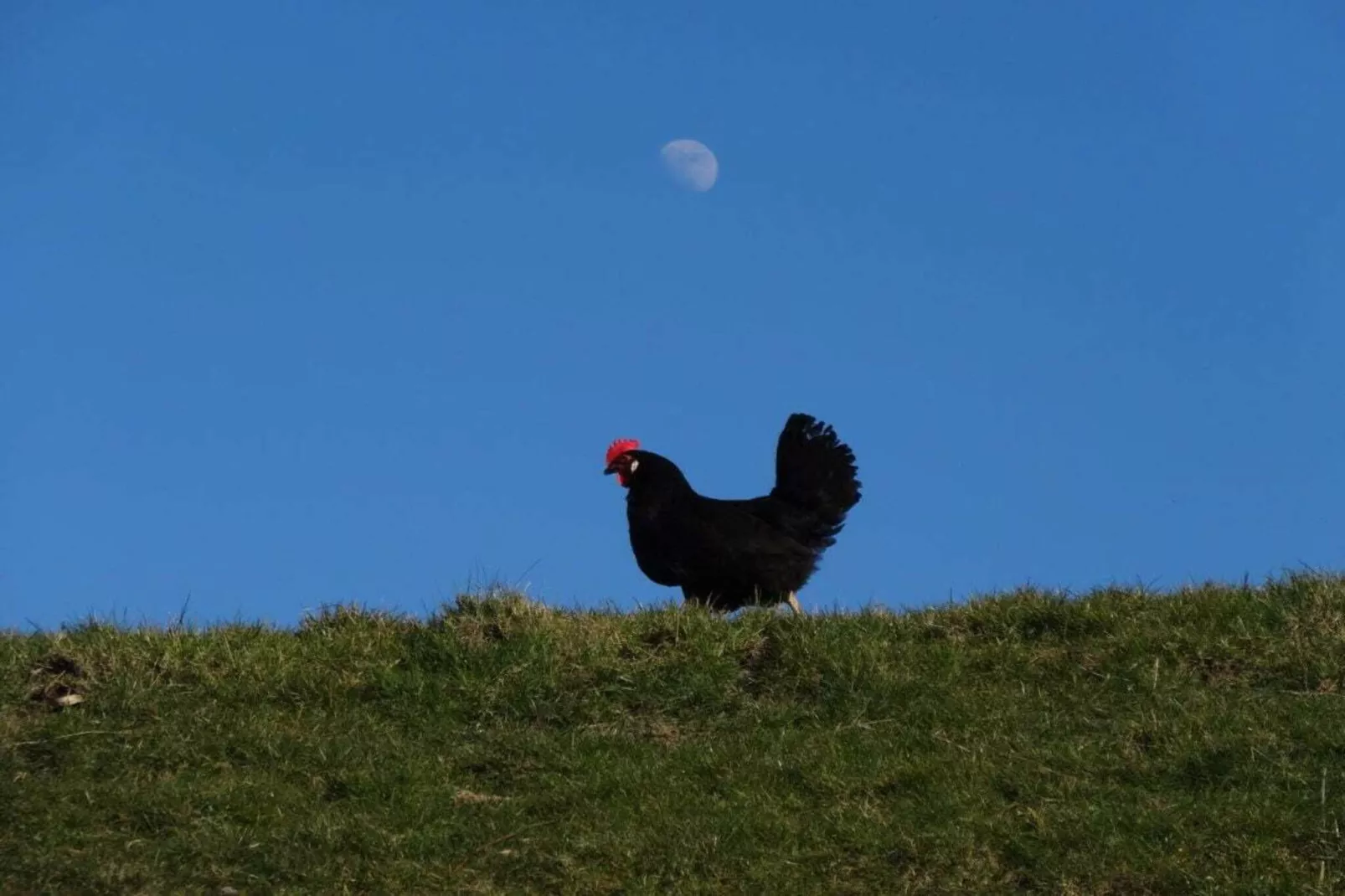 81405-Zones été à 5 km