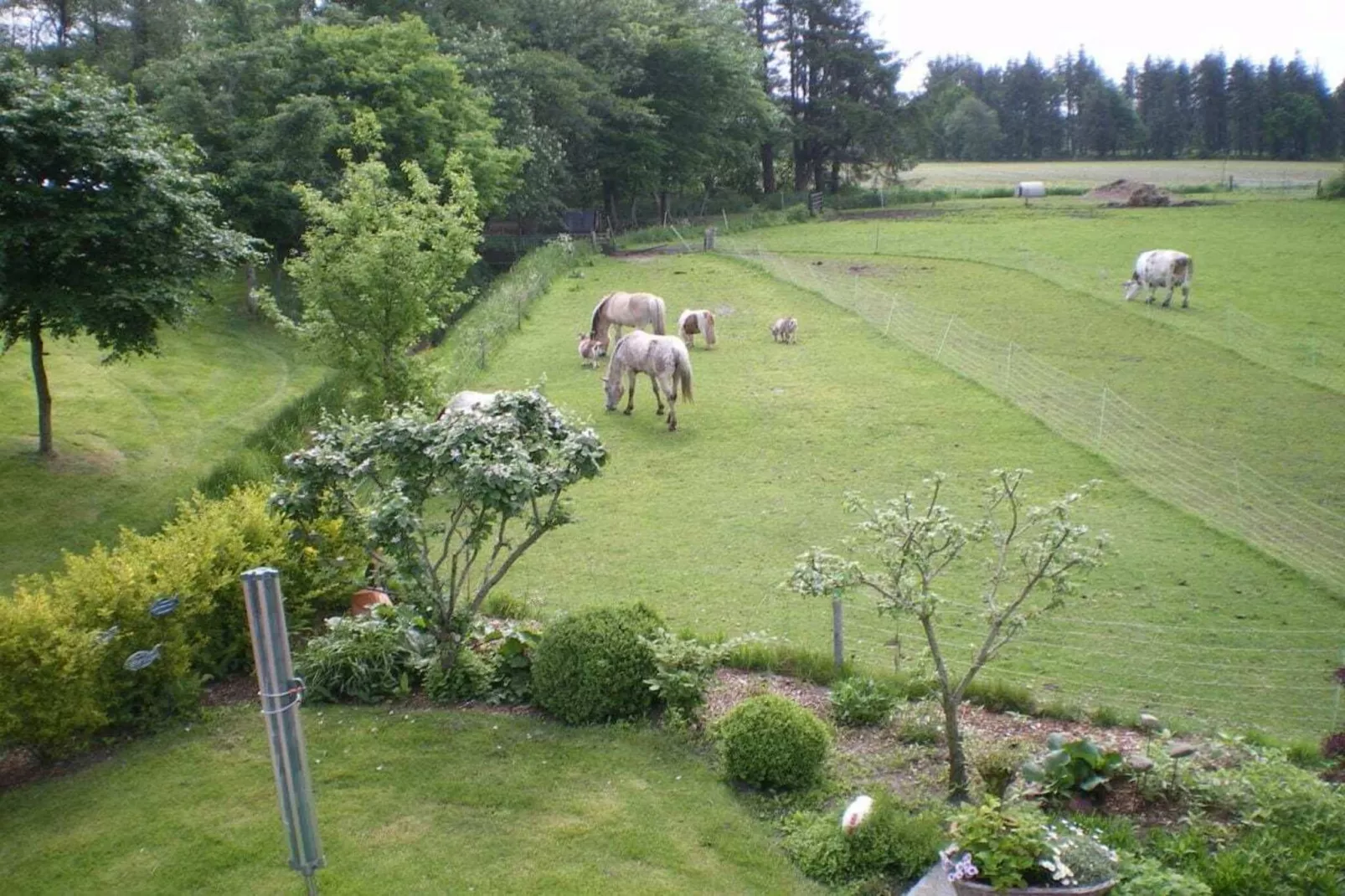 4315-Jardins en été