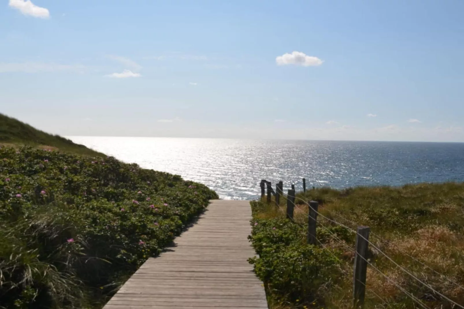 190721-Exterior in summer