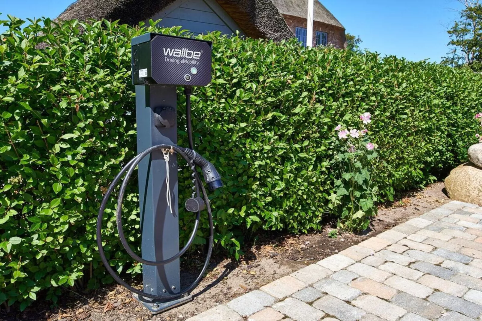 291403-Exterior in summer