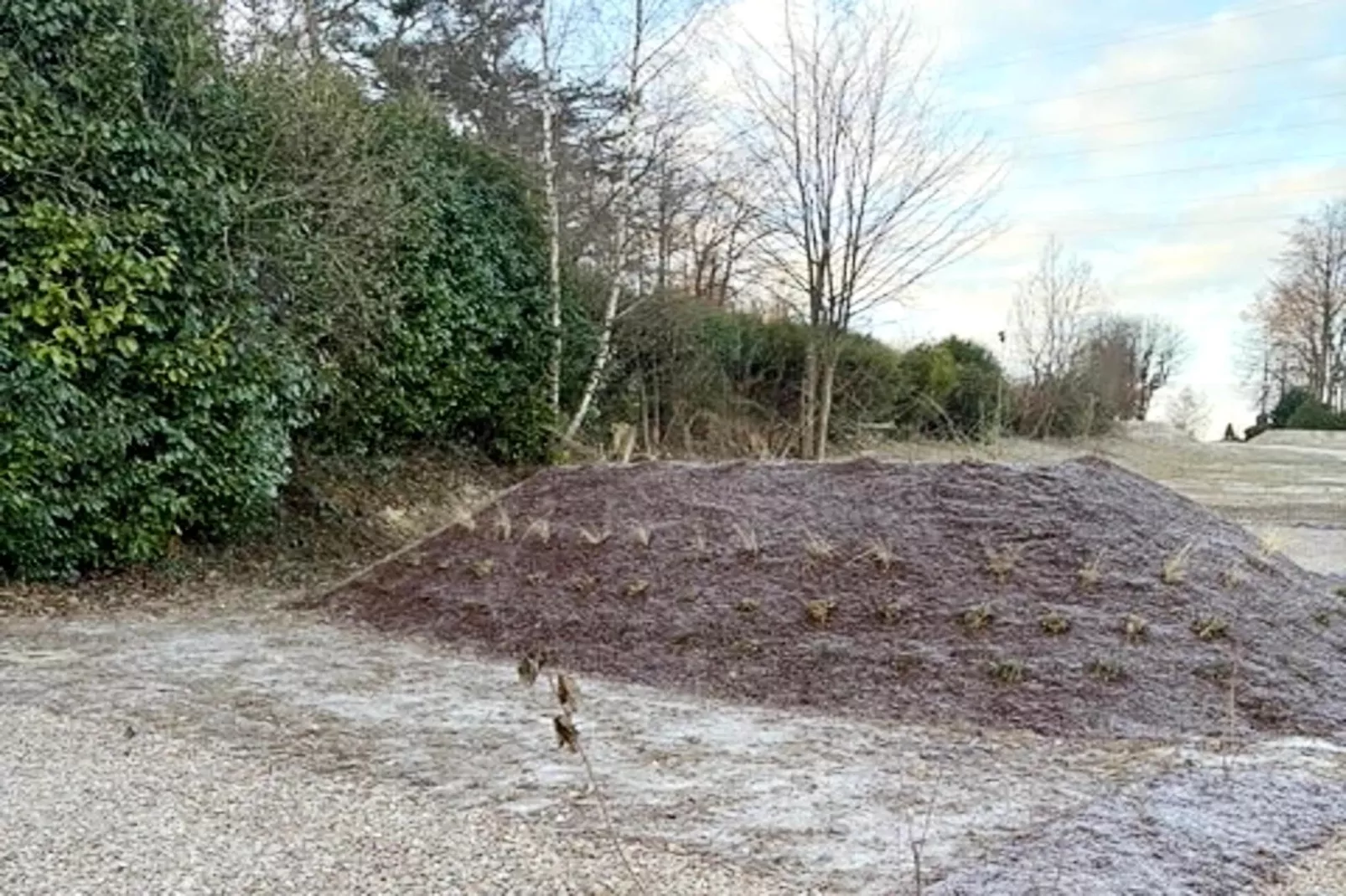 Lodges by Val 1-Gardens in summer