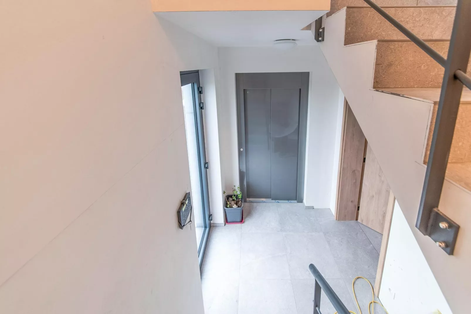 Le vol du milan-Flur